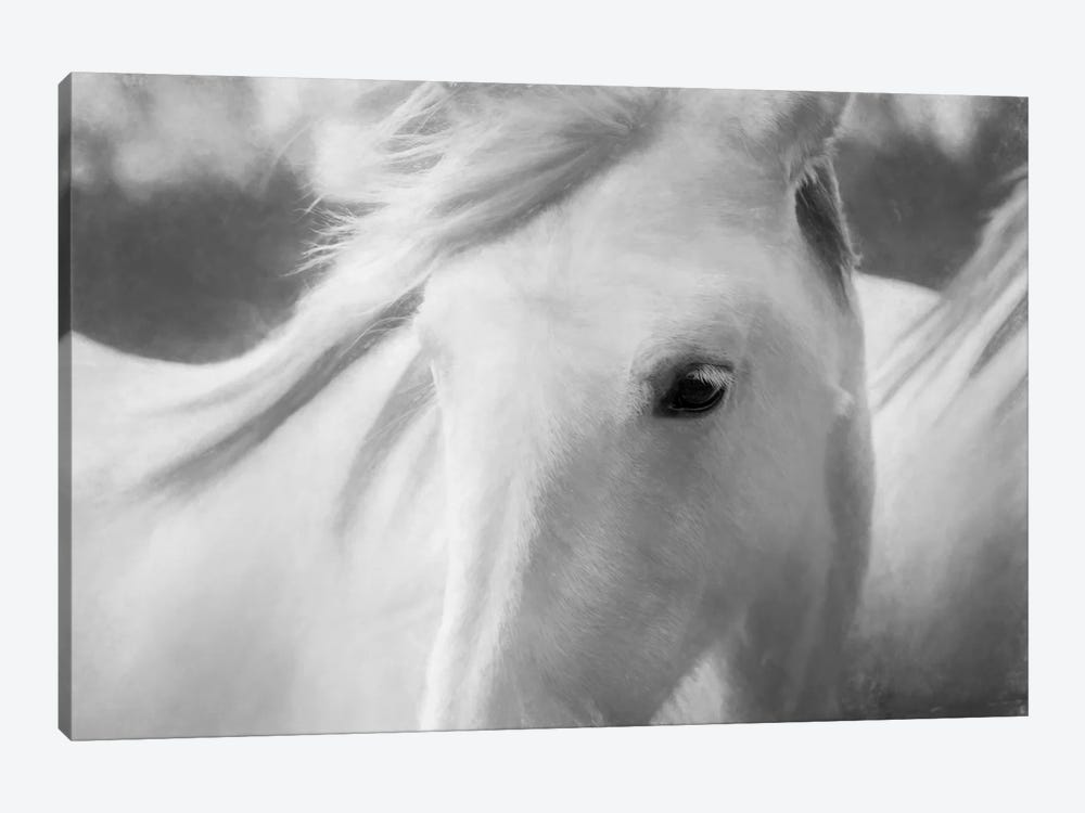 Sweet Horse by Marco Carmassi 1-piece Canvas Artwork