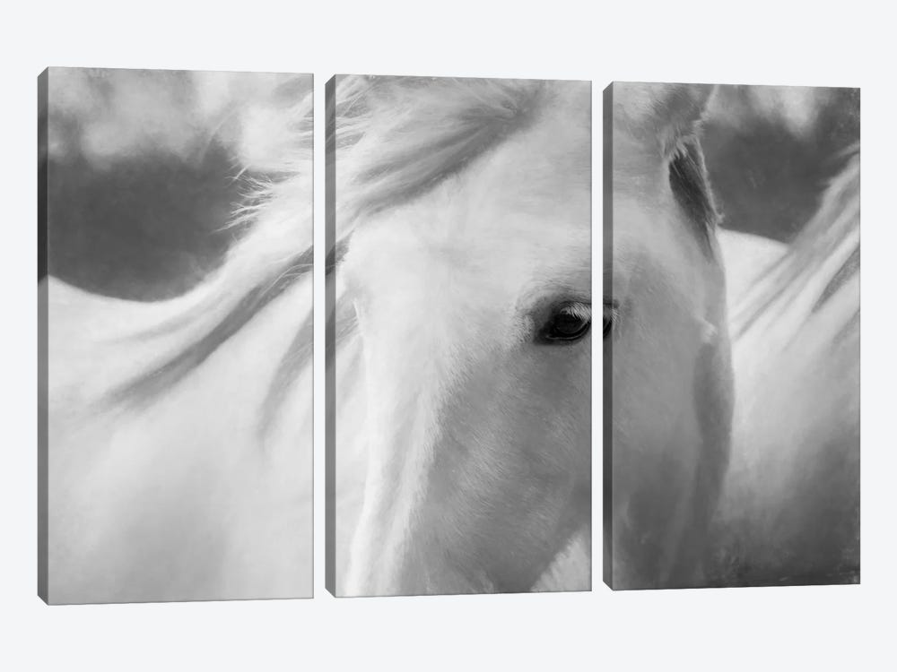 Sweet Horse by Marco Carmassi 3-piece Canvas Artwork