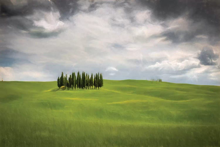 Dreamland by Marco Carmassi wall art