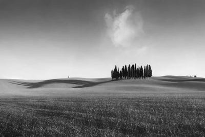 Long Shadows by Marco Carmassi multi panel art