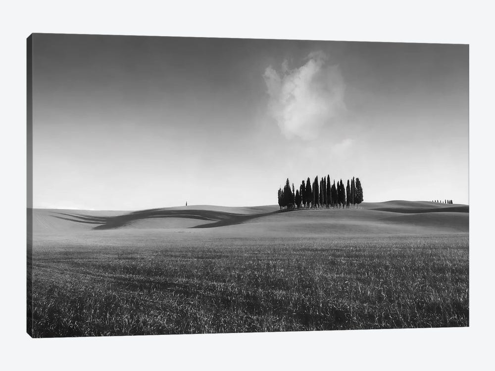 Long Shadows by Marco Carmassi 1-piece Art Print