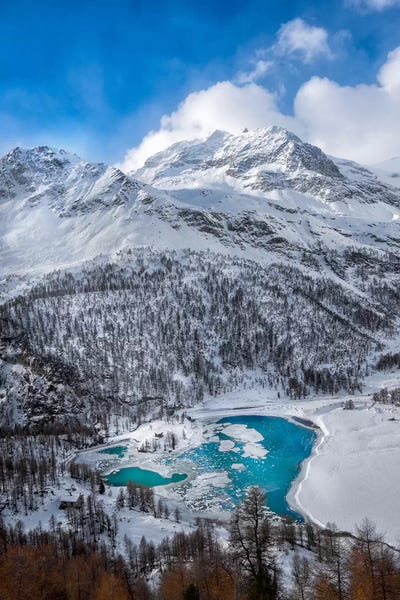 Marco Carmassi: Frozen Heart by Marco Carmassi