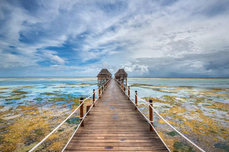 Zanzibar Pier by Marco Carmassi wall art