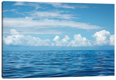 Indian Ocean Canvas Art Print - Sea & Sky