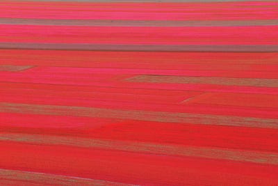 Red Land by Marco Carmassi multi panel art