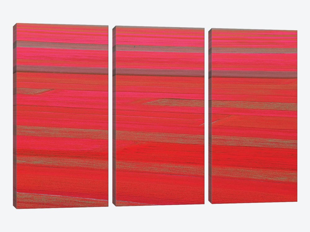 Red Land by Marco Carmassi 3-piece Canvas Art Print