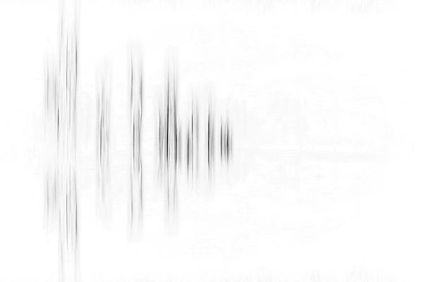 Abstract Photography: Black Trees by Marco Carmassi