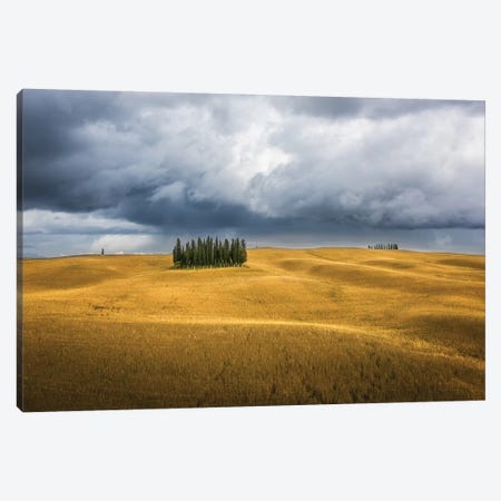 Wheat And Cypresses In Tuscany Canvas Print #MAO80} by Marco Carmassi Canvas Art