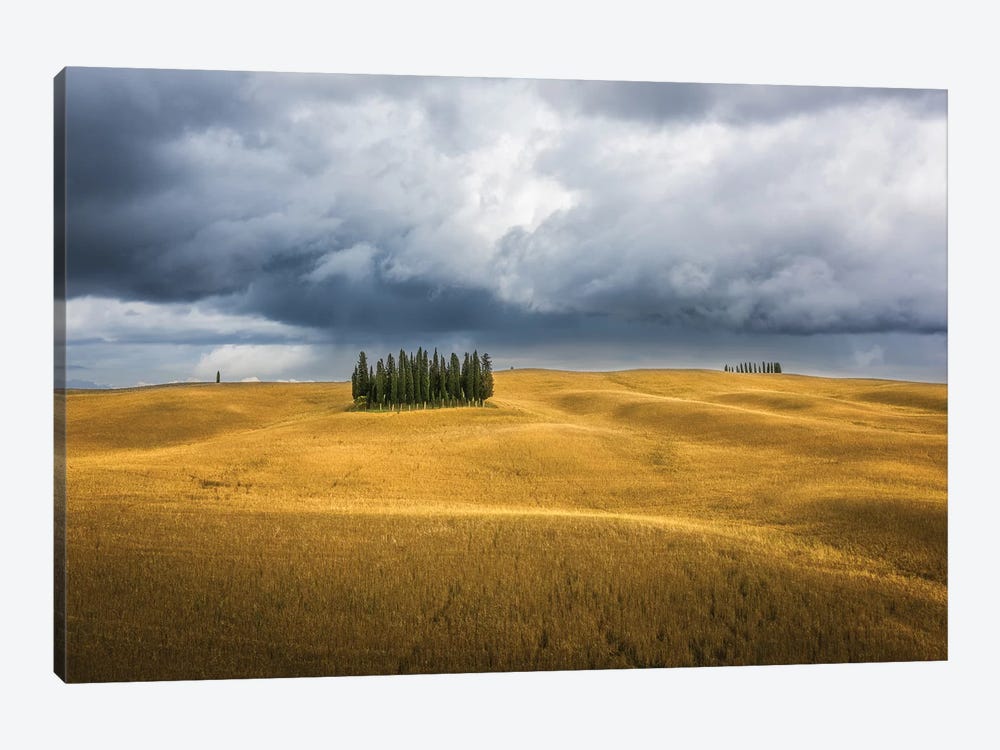 Wheat And Cypresses In Tuscany by Marco Carmassi 1-piece Canvas Art Print