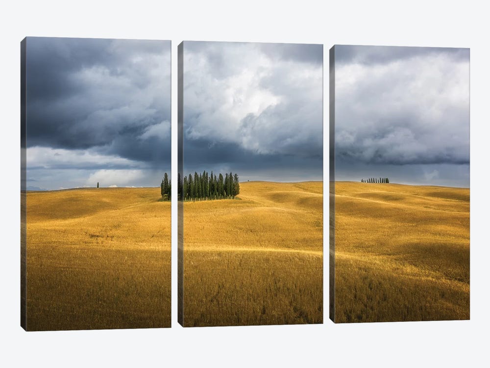 Wheat And Cypresses In Tuscany by Marco Carmassi 3-piece Canvas Art Print