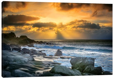Lofoten Beach And Stones Canvas Art Print - Beach Sunrise & Sunset Art