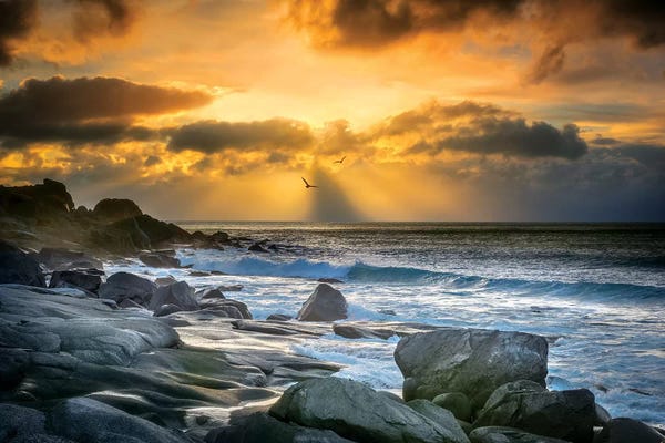 Rocky Beaches: Lofoten Beach And Stones by Marco Carmassi