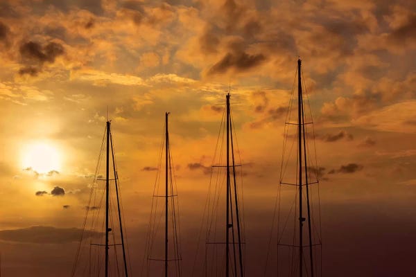 Nautical Décor: The Four Trees by Marco Carmassi