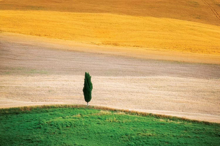 Tuscany Land by Marco Carmassi wall art