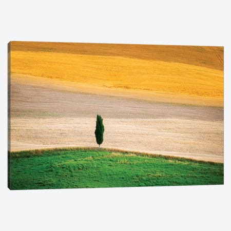 Tuscany Land Canvas Print #MAO97} by Marco Carmassi Canvas Wall Art