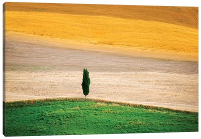 Tuscany Land Canvas Art Print - Marco Carmassi