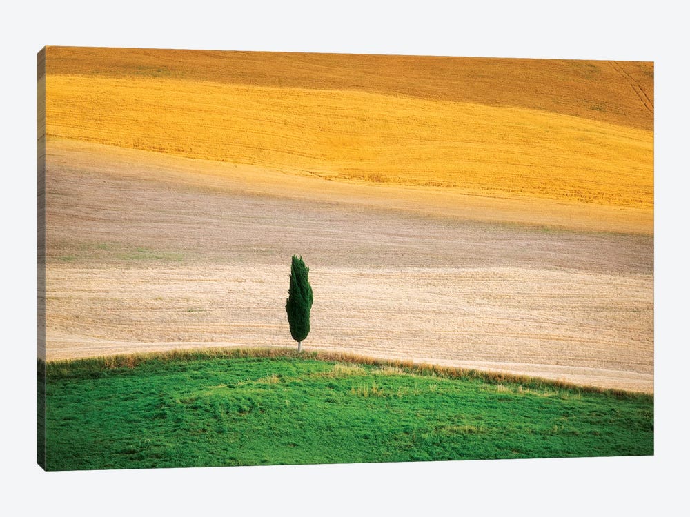 Tuscany Land by Marco Carmassi 1-piece Art Print