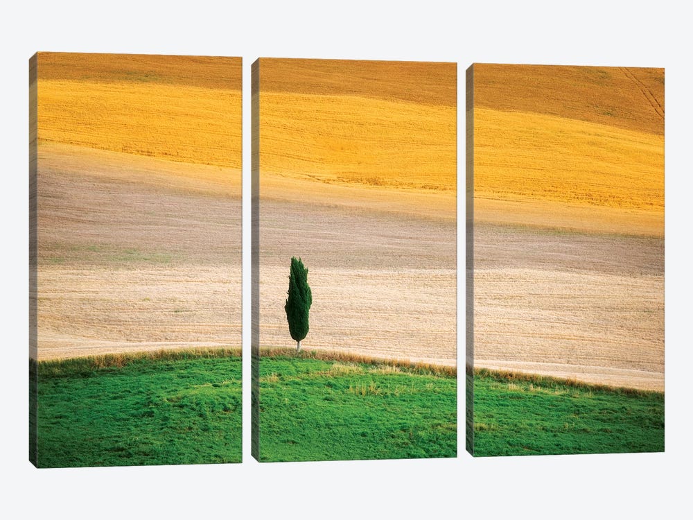 Tuscany Land by Marco Carmassi 3-piece Art Print