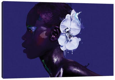 Black Beauty II Canvas Art Print - Art by LGBTQ+ Artists