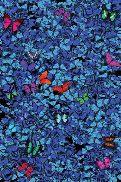 Marcio Alek: Butterflies I by Marcio Alek