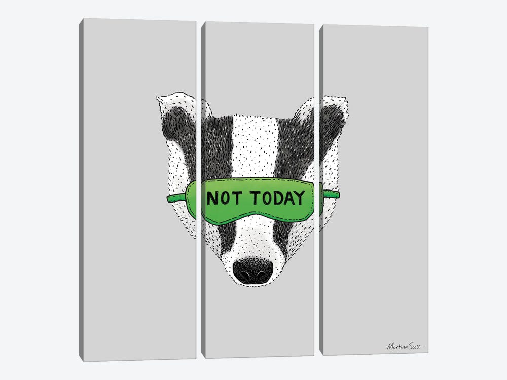 Not Today Badger by Martina Scott 3-piece Canvas Artwork
