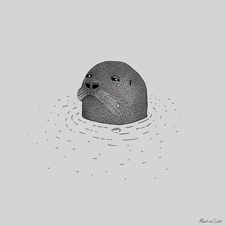 Sad Seal