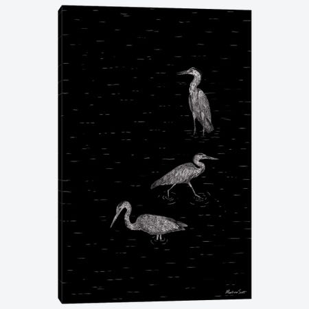 Three Herons (Black Edition) Canvas Print #MAS108} by Martina Scott Canvas Print