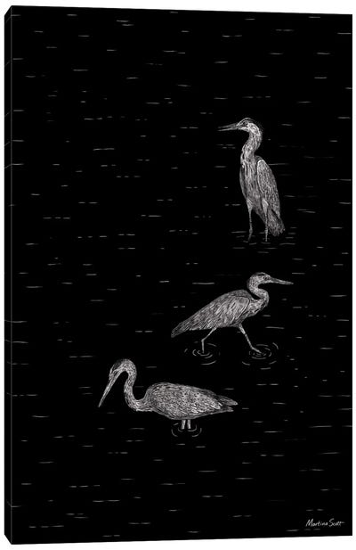 Three Herons (Black Edition) Canvas Art Print - Heron Art