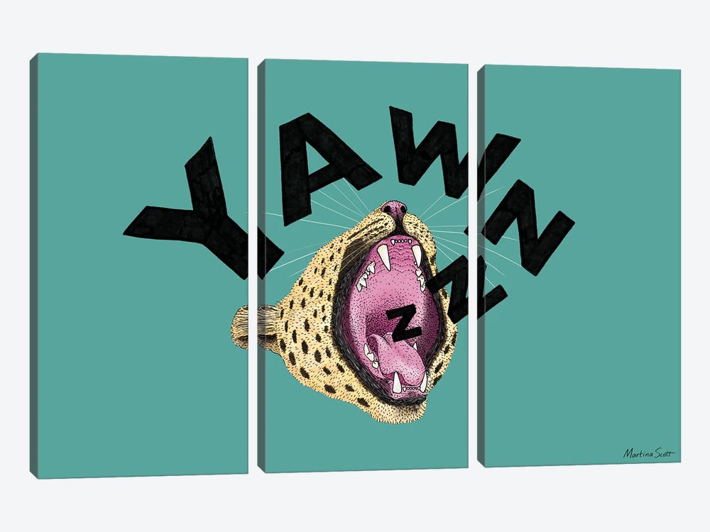 Yawnzzz by Martina Scott 3-piece Art Print