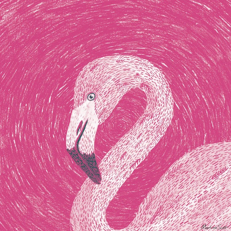 Flamingo