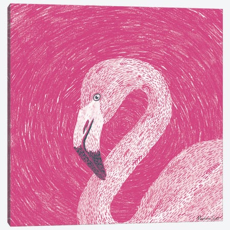 Flamingo Canvas Print #MAS18} by Martina Scott Canvas Print