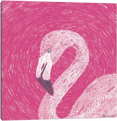 Flamingo Canvas Art Print - Martina Scott