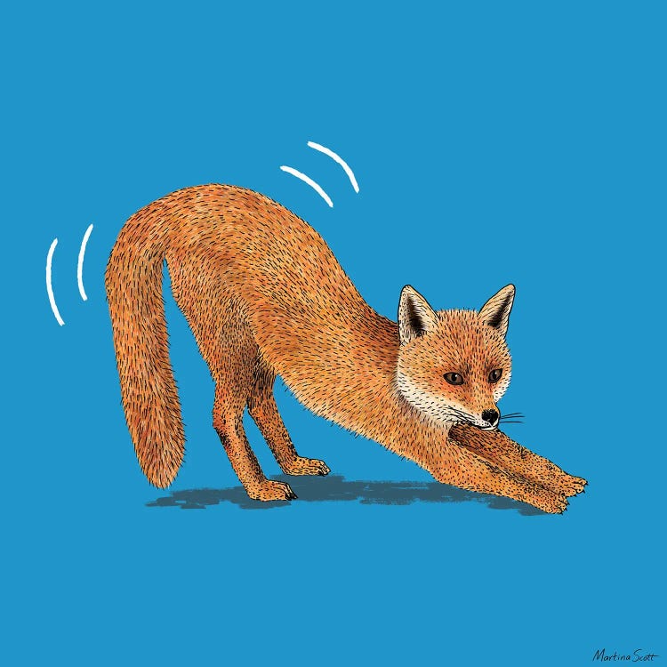 Foxy Fox