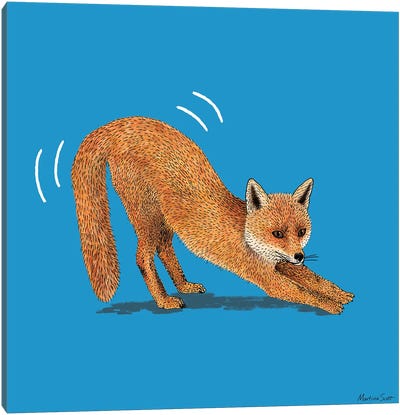 Foxy Fox Canvas Art Print - Martina Scott