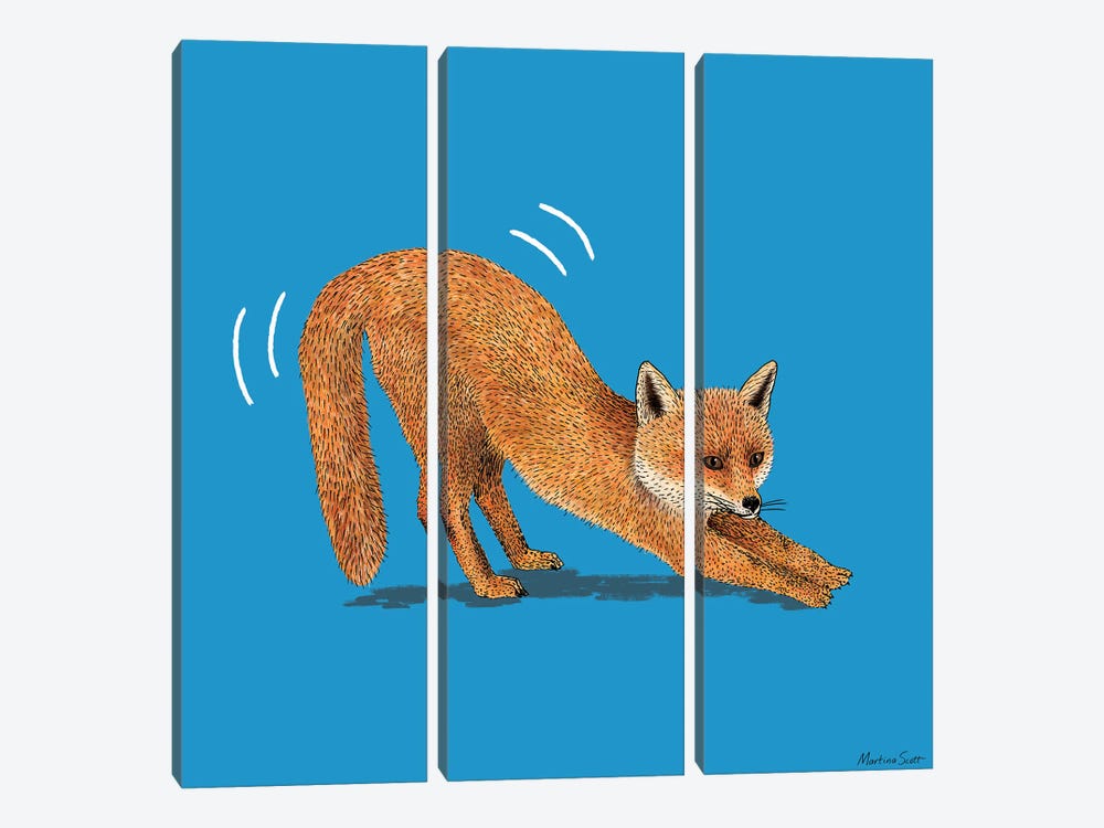 Foxy Fox by Martina Scott 3-piece Canvas Artwork