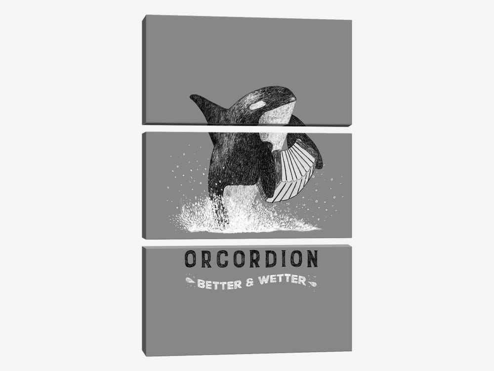 Orcordion by Martina Scott 3-piece Canvas Wall Art