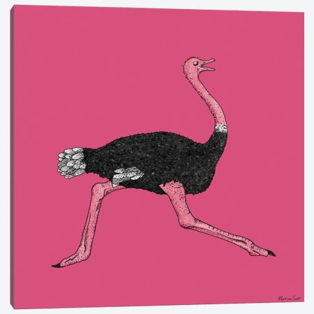 Ostrich Canvas Print #MAS49} by Martina Scott Canvas Art