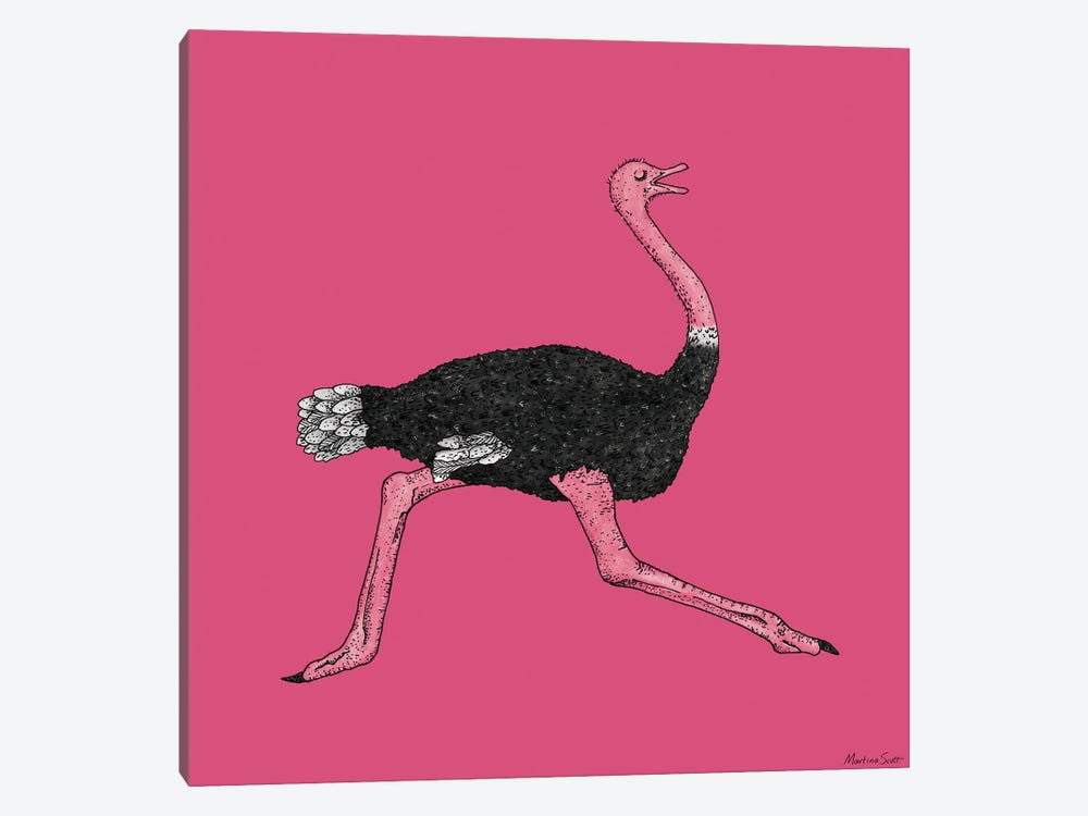 Ostrich by Martina Scott 1-piece Art Print