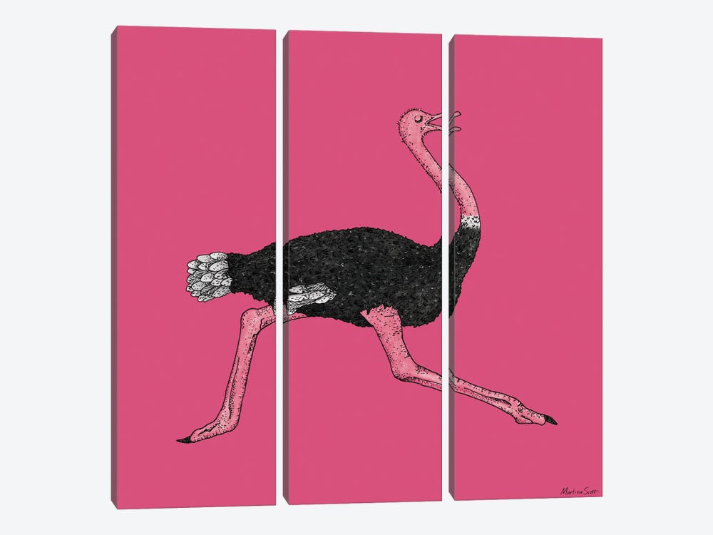 Ostrich by Martina Scott 3-piece Art Print