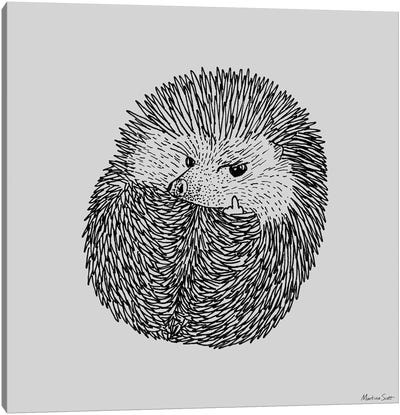 Prick (Grey Edition) Canvas Art Print - Hedgehogs