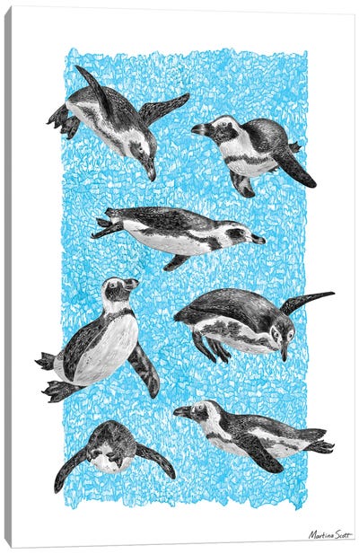 African Penguins Canvas Art Print - Martina Scott
