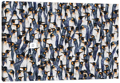 Singing Penguin Canvas Art Print - Martina Scott