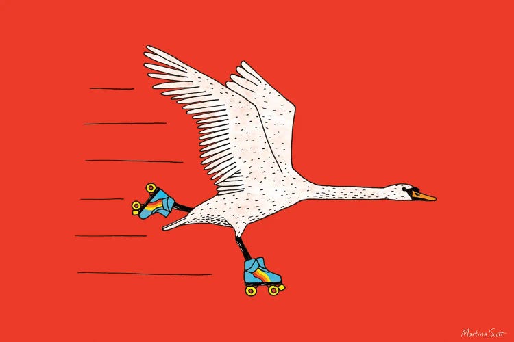 Skating Swan