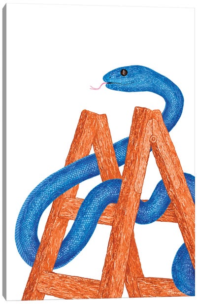 Snakes And Ladders Canvas Art Print - Martina Scott