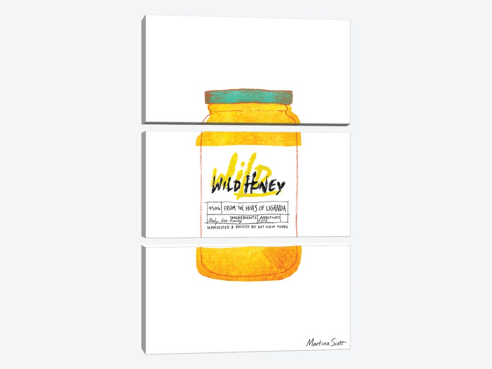 Wild Honey by Martina Scott 3-piece Canvas Art