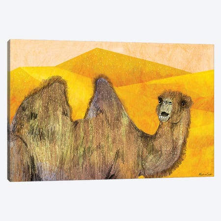 Camel Canvas Print #MAS89} by Martina Scott Canvas Artwork