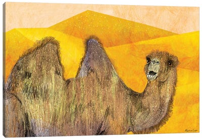 Camel Canvas Art Print - Martina Scott