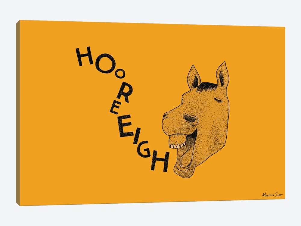Hooray Horse by Martina Scott 1-piece Canvas Art Print