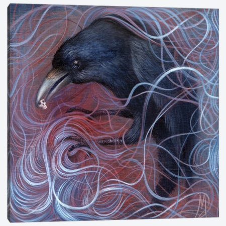 Raven Canvas Print #MAY93} by Dan May Canvas Art Print