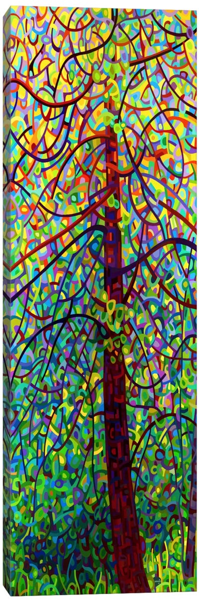 Kaleidoscope Canvas Art Print - Mandy Budan